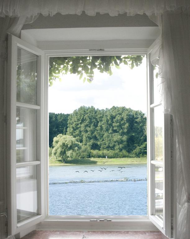 Rhein River Guesthouse - Direkt Am Rhein Леверкузен Экстерьер фото