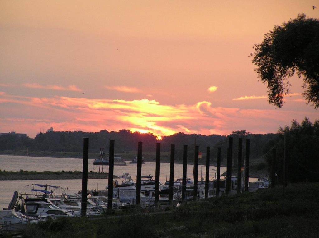 Rhein River Guesthouse - Direkt Am Rhein Леверкузен Экстерьер фото