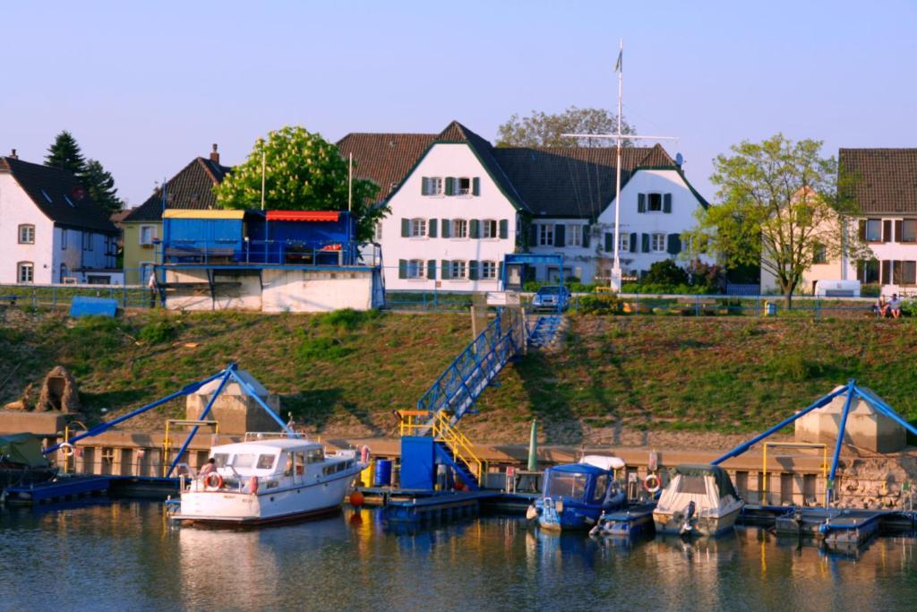 Rhein River Guesthouse - Direkt Am Rhein Леверкузен Экстерьер фото
