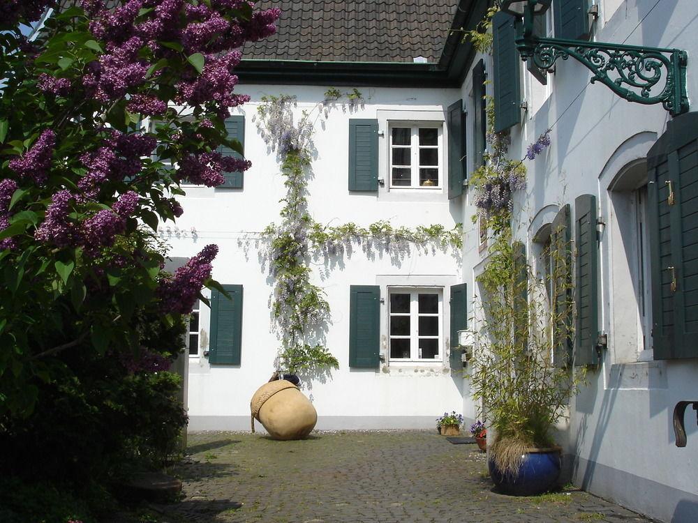 Rhein River Guesthouse - Direkt Am Rhein Леверкузен Экстерьер фото
