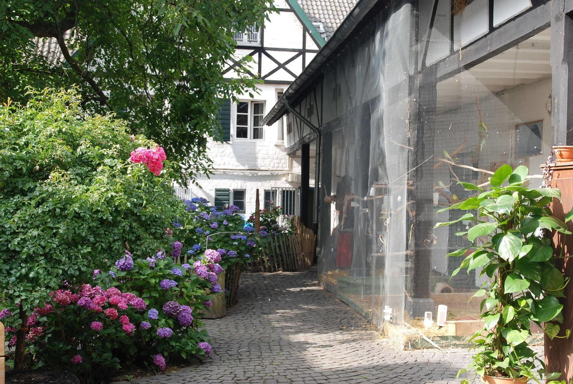 Rhein River Guesthouse - Direkt Am Rhein Леверкузен Экстерьер фото