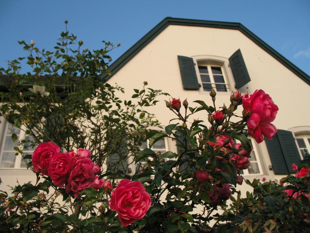 Rhein River Guesthouse - Direkt Am Rhein Леверкузен Экстерьер фото
